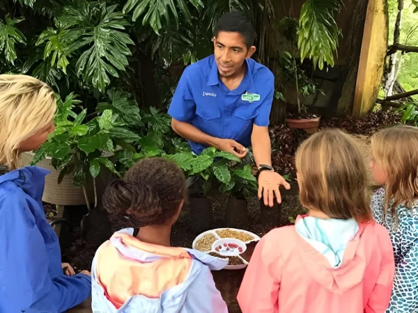 Guía explicando el proceso de cultivo de café a un grupo en el Diriá Coffee Tour Hojancha