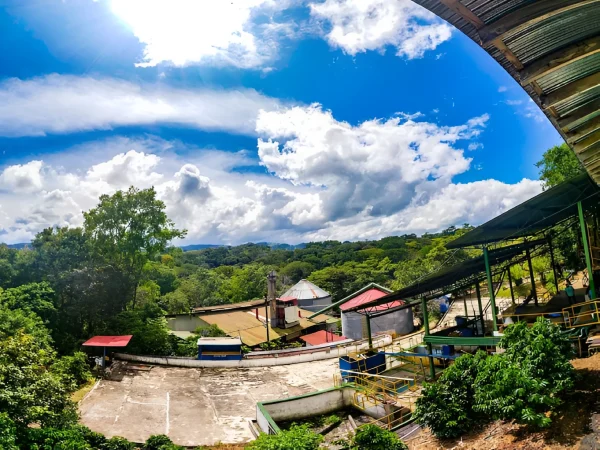 Hermoso paisaje que rodea la plantación de café en Hojancha