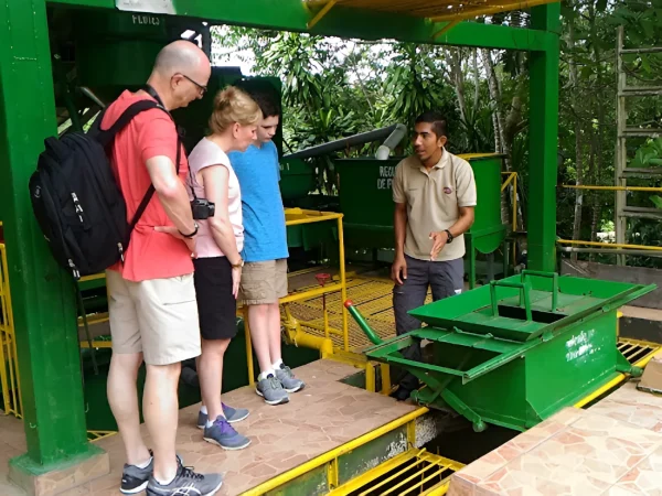 Grupo disfrutando de actividades interactivas en el Diriá Coffee Tour